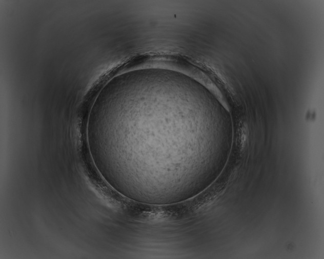 X0000091650688200708301419
