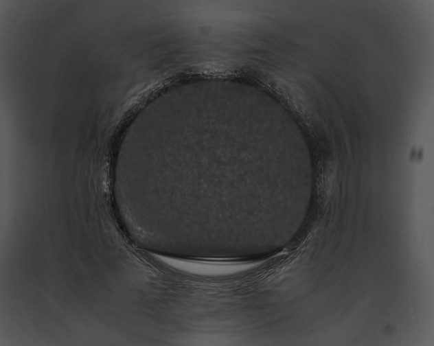 X0000091650689200708301419