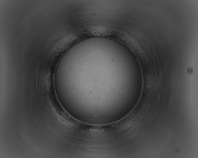 X0000091650690200708301419