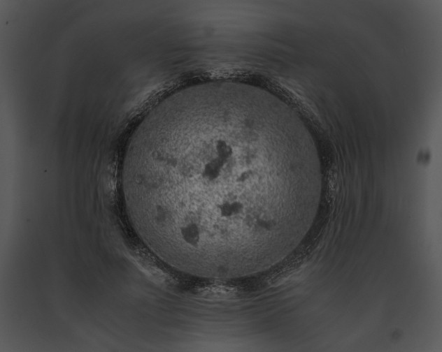 X0000091650691200708301419