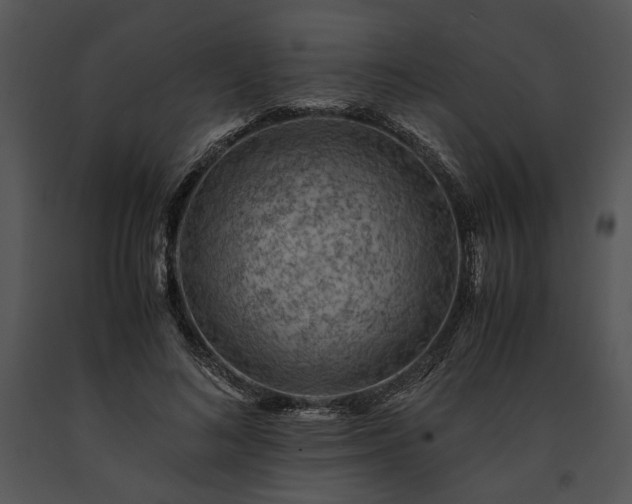 X0000091650692200708301419