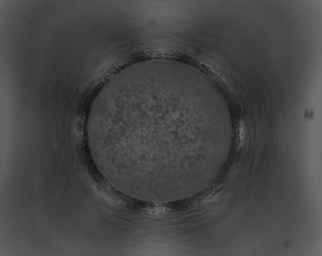 X0000091650695200708301419