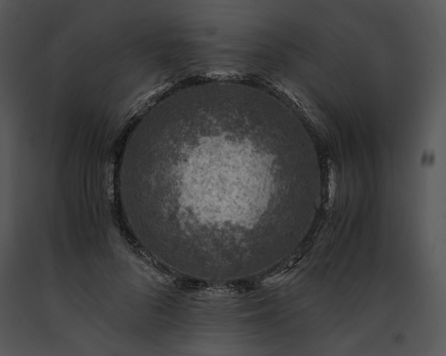 X0000091650696200708301419