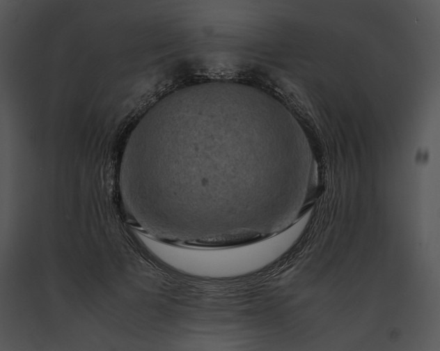 X0000091650697200708301419