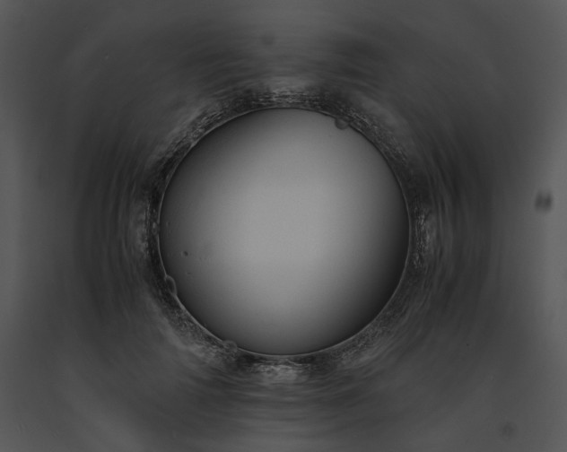 X0000091650698200708301419