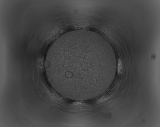 X0000091650699200708301419