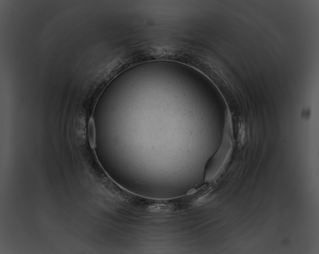 X0000091650700200708301419