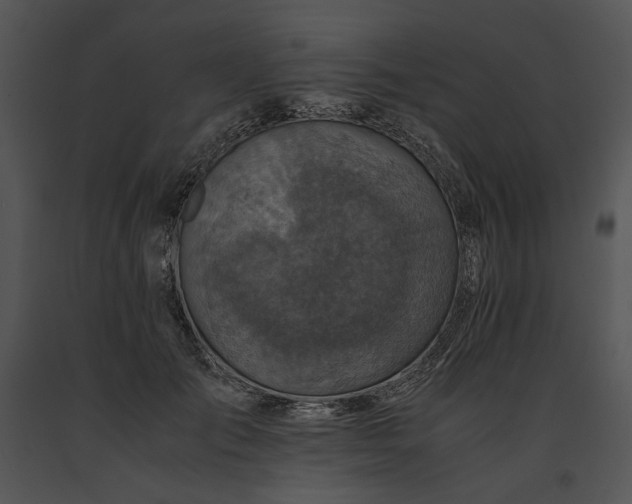 X0000091650701200708301419