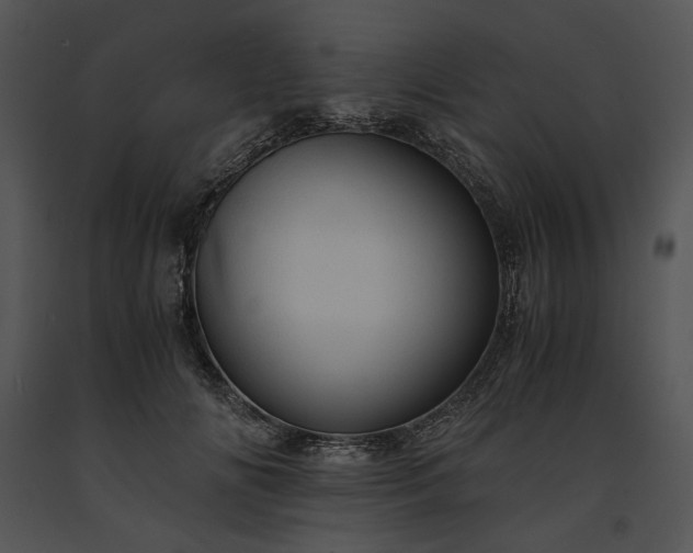 X0000091650702200708301419
