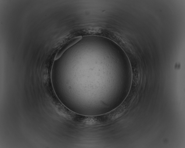 X0000091650704200708301419