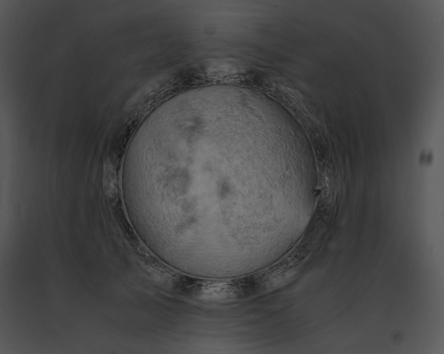X0000091650705200708301419