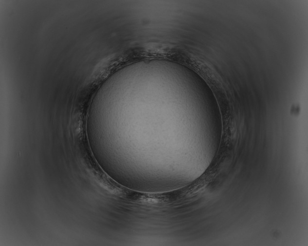 X0000091650706200708301419
