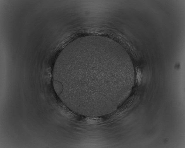 X0000091650707200708301419
