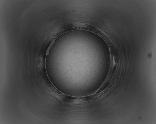 X0000091650708200708301419