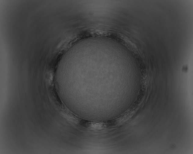 X0000091650709200708301419