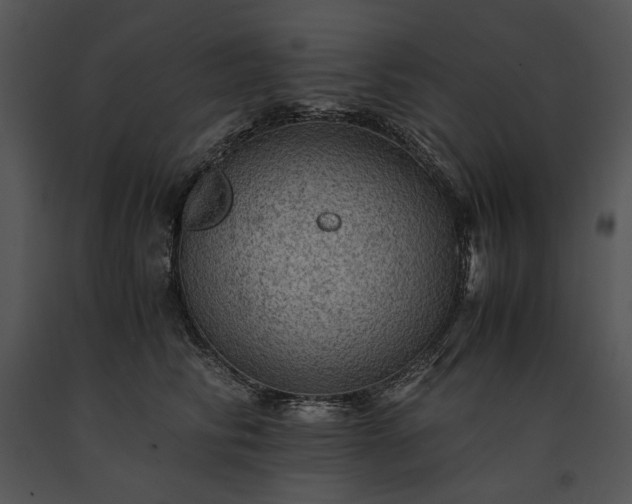 X0000091650710200708301419