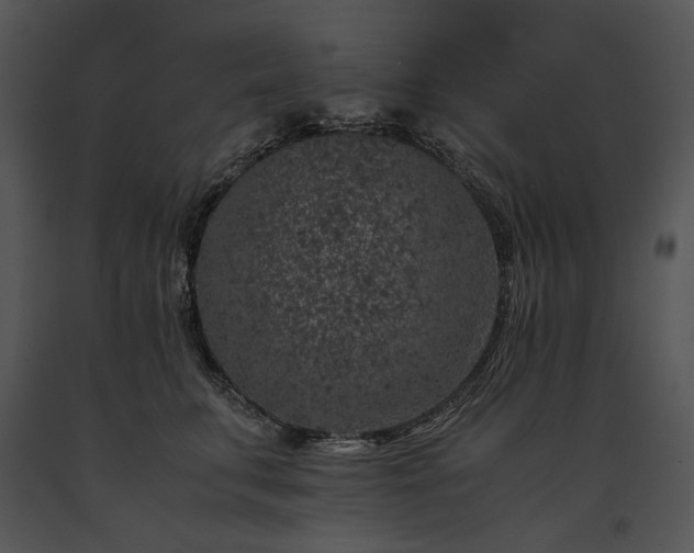 X0000091650711200708301418
