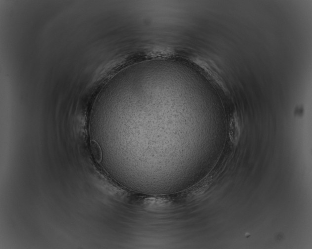 X0000091650714200708301418