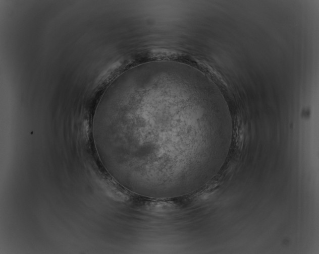 X0000091650716200708301418