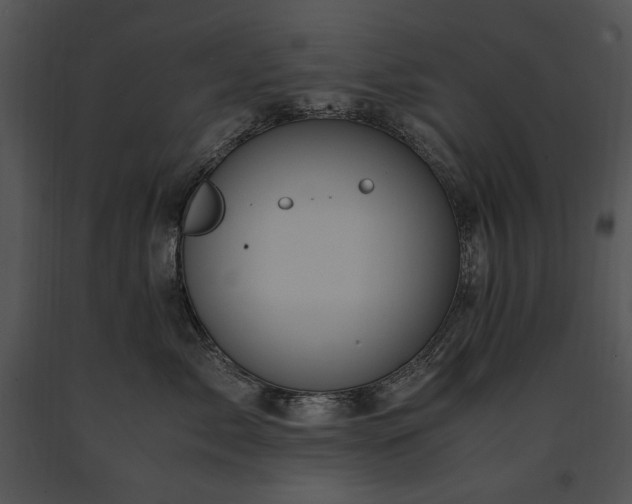 X0000091650717200708301418