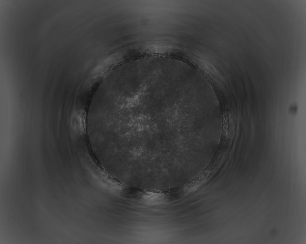 X0000091650718200708301418