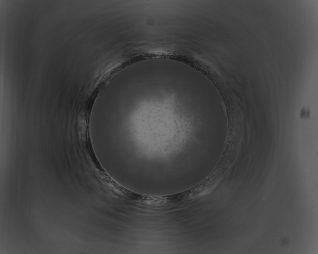 X0000091650720200708301418