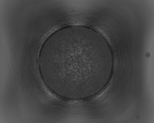 X0000091650721200708301418