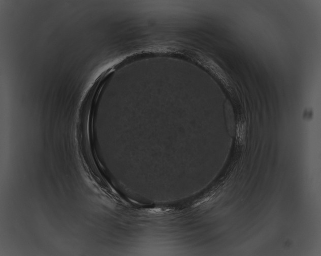 X0000091650724200708301418