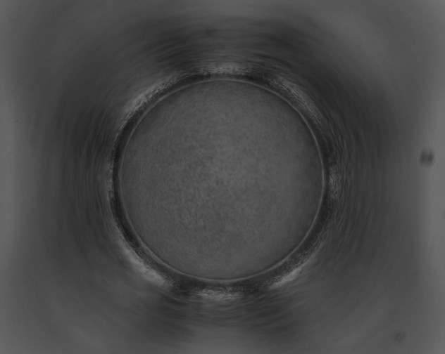 X0000091650725200708301418