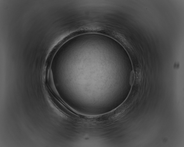 X0000091650726200708301418