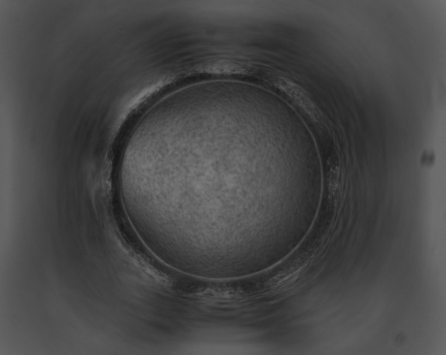 X0000091650727200708301418