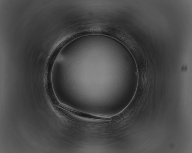 X0000091650728200708301418