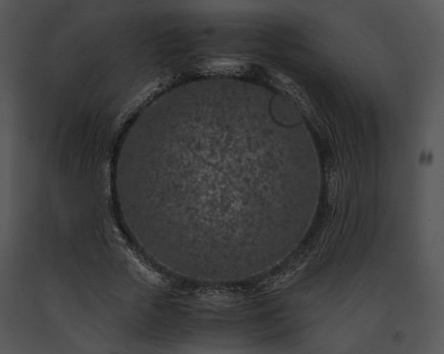 X0000091650729200708301418