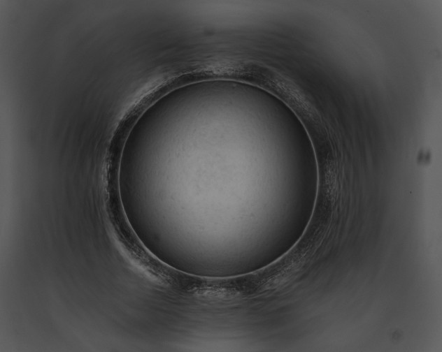 X0000091650730200708301418