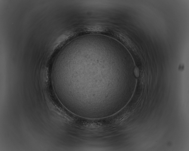 X0000091650731200708301418