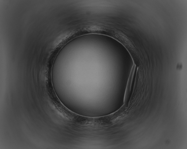X0000091650732200708301418