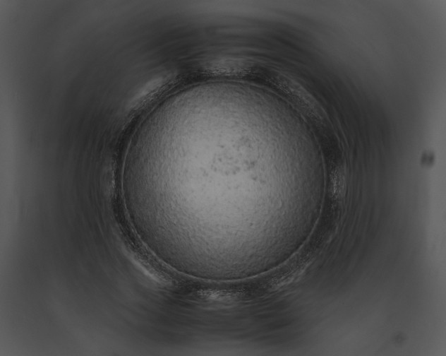 X0000091650733200708301418