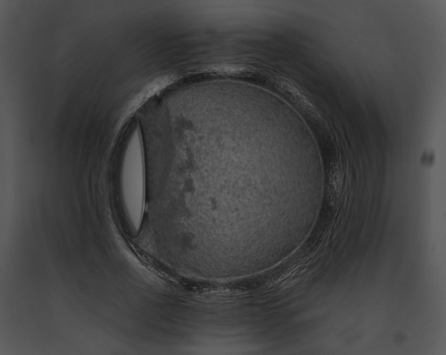 X0000091650734200708301418