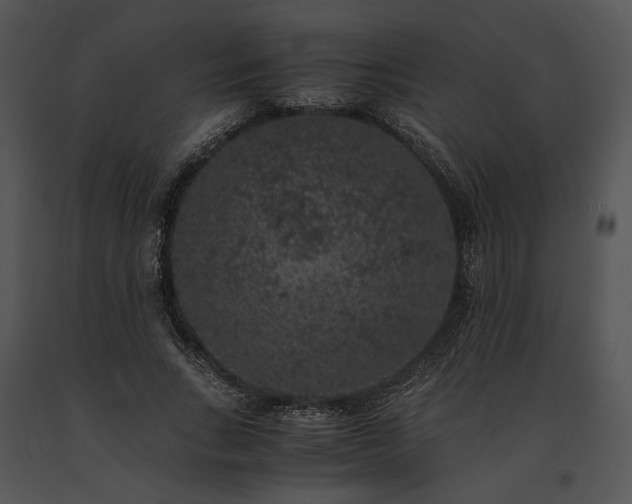 X0000091650735200708301418
