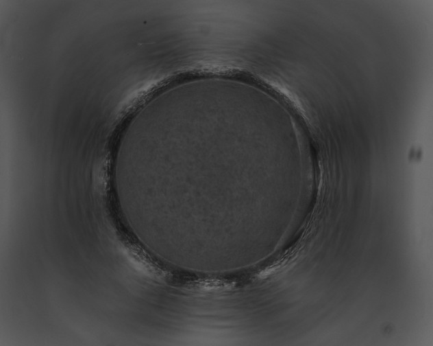 X0000091650736200708301418