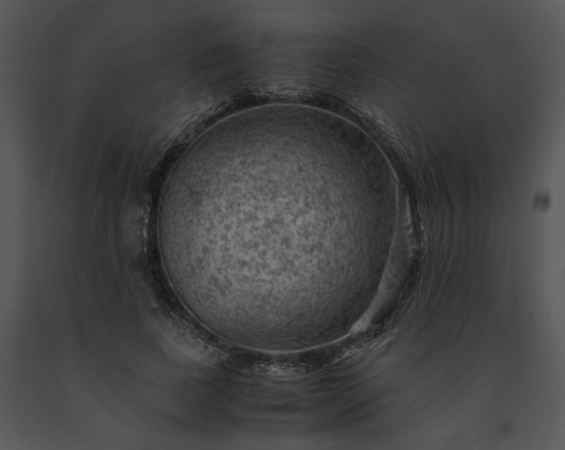 X0000091650739200708301418