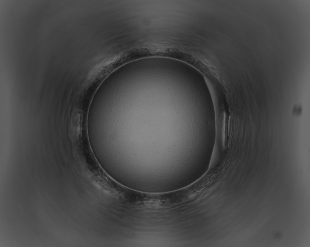 X0000091650740200708301418