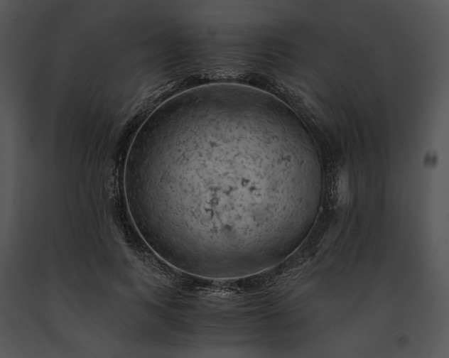 X0000091650743200708301418