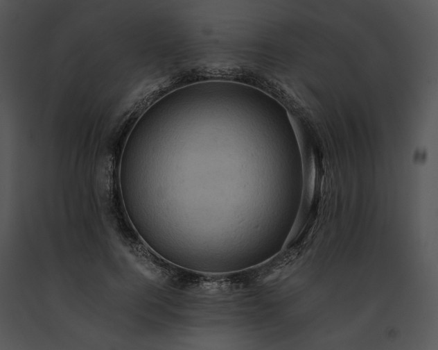 X0000091650744200708301418