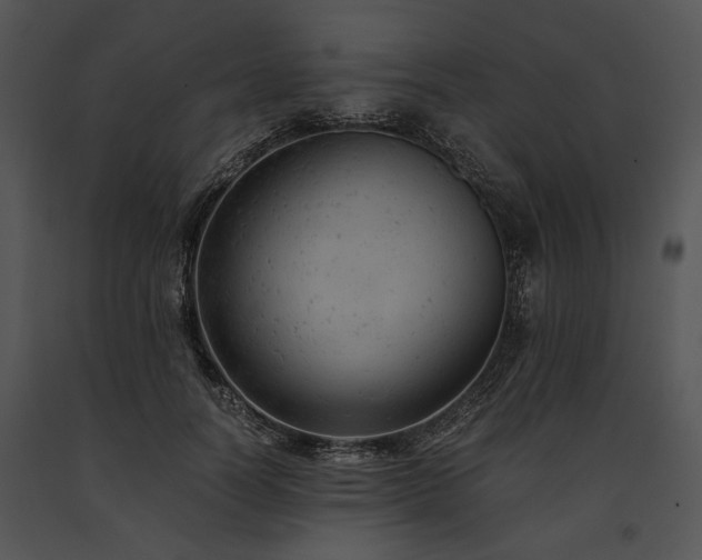 X0000091650746200708301418