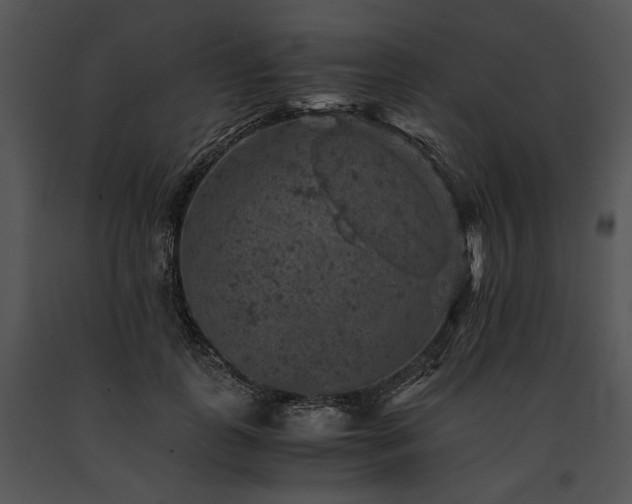 X0000091650747200708301418
