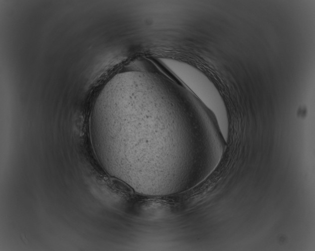 X0000091650750200708301418