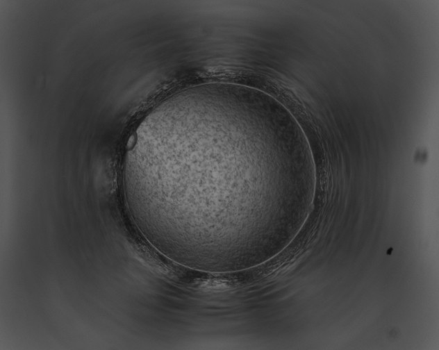 X0000091650751200708301418