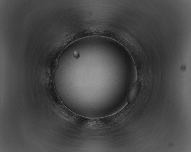 X0000091650752200708301418