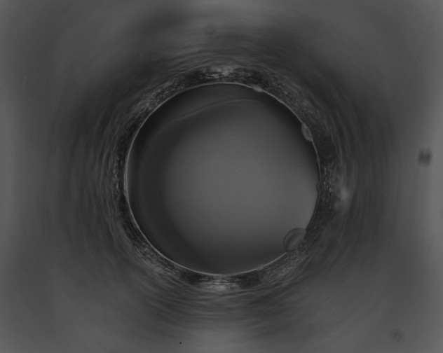 X0000091650754200708301418